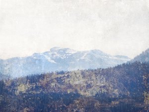 Floresta da Montanha Ennevoada de Gemma Bardot