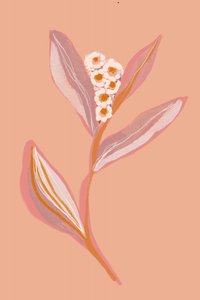 Flores de pêssego em flor
