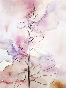 Botânica em aquarela rosa de Gemma Bardot