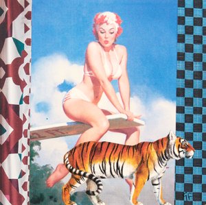 Rapariga a nadar com tigre (colagem)