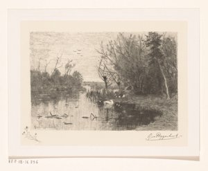 Patos ao longo e na margem de um lago Xixi de pato (título original) de Geo Poggenbeek (signed by artist)