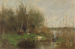 Patos ao lado de um abrigo de patos numa vala