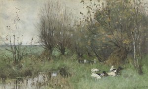 Patos perto de um salgueiro