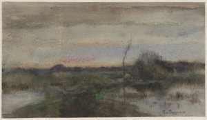 Paisagem do pântano com pôr do sol de Geo Poggenbeek