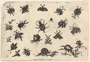Pequenos Motivos de Insetos e Plantas, 1596. de Georg Herman