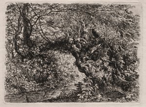 The Old Willow at a Brook, 1794. de Georg von Dillis