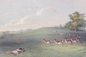 Portfólio Índio Norte-Americano de George Catlin de George (after) Catlin