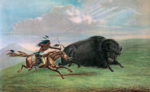Impressão após Buffalo Hunt de George Catlin, c.1920 (serigrafia) de George (after) Catlin