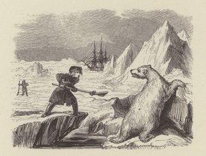 O jovem Nelson matando um urso polar (gravura)