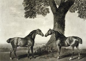 Dois Caçadores, gravado por G.T. Stubbs (bap.1748-c.1815) (litho) (ver também 266802)