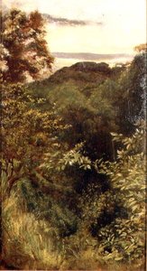 The Glen, Naworth, Cumbria (óleo sobre painel)