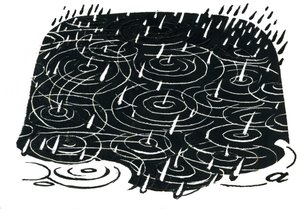 Design de poça de chuva (raspador) de George Adamson