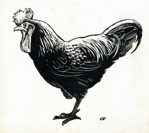 A galinha, década de 1950 (placa de raspagem) de George Adamson