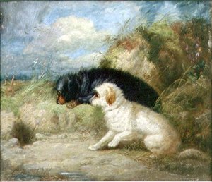 Terriers por um buraco de coelho