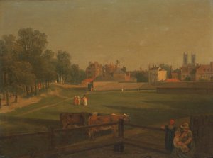 Uma vista ocidental de parte da Westminster e da Bird Cage Walk tirada da Mill House
