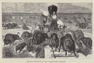 Búfalos de tiro na estrada de ferro Kansas-Pacífico de George Augustus Sala