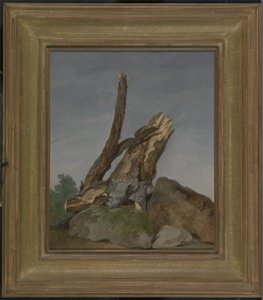 Estudo de Rochas e Ramos, c.1795 (óleo sobre papel)