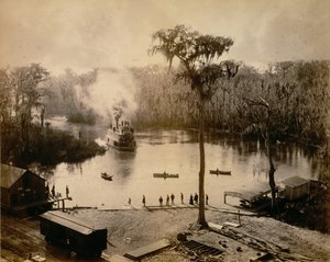 Stern-Wheeler Chegando em Silver Springs, Flórida, após uma Pernoite no St. John..., 1886.