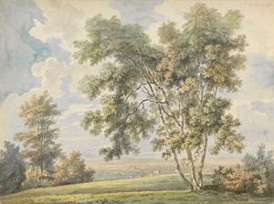 Paisagem com árvores e ovelhas (Park Landscape with Sheep)