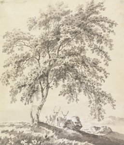 Estudo das Árvores com Estágio (Paisagem)