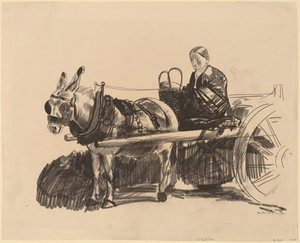 A carroça do burro