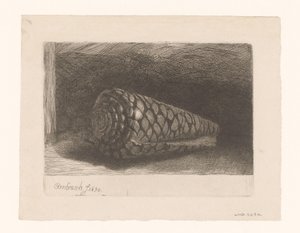 A concha de George Bickham (II)