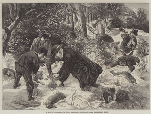 Ferreting de um dia nos feriados do Christmas de George Bouverie Goddard
