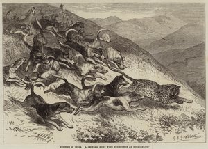 Caça na Índia, uma caçada de leopardo com Foxhounds em Ootacamund de George Bouverie Goddard