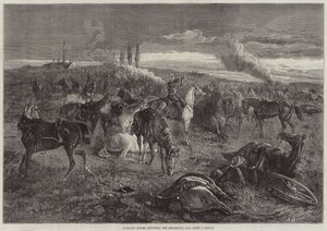 Cavalos sem cavaleiro respondendo a chamada Regimental após uma batalha