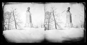 Paynes busto, Prospect Park, Brooklyn, 1872-87 (wet-colódio negativo)