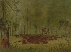 Uma luta com queixadas - Caribe, 18541869. de George Catlin