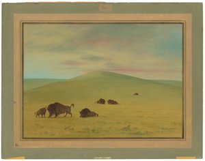 Pastagem Americana - Pradarias do Platte de George Catlin