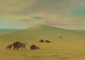 Pastagens Americanas - Pradarias do Platte, 18611869. de George Catlin