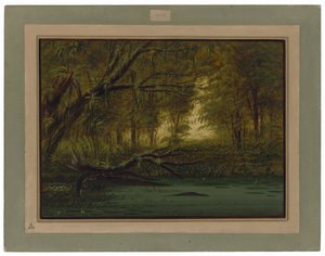 Um ninho de crocodilos de George Catlin