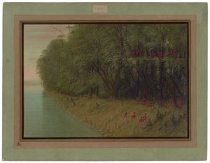Uma floresta amazônica - olhando em terra de George Catlin