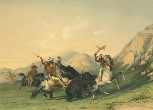 Atacando o Urso Pardo de George Catlin