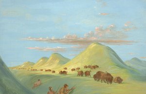 Batiste, Bogard e eu aproximamo-nos de Buffalo no Missouri de George Catlin