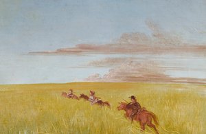 Bogard, Batiste e eu, viajando pelo fundo do Missouri, 1837-1839. de George Catlin