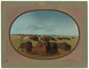 Buffalo Chase, com acidentes de George Catlin
