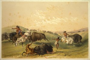 Caça ao búfalo: Um grupo numeroso de George Catlin