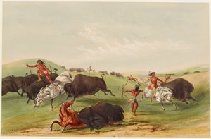 Caça ao bisonte: perseguição de George Catlin