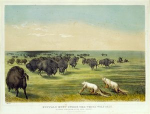 Caça ao bisonte sob a pele do lobo branco de George Catlin