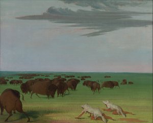 Floresta. de George Catlin