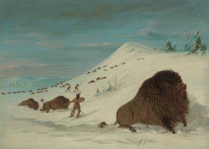 Buffalo Lancing in the Snow Drifts - Sioux, 18611869. de George Catlin