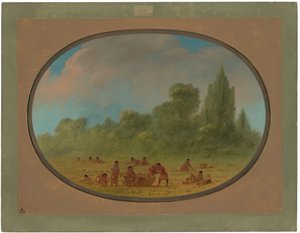 Índios Caddo colhendo morangos silvestres de George Catlin