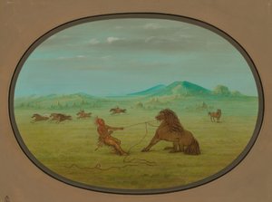 Pegando Cavalos Selvagens - Pawnee, 18611869. de George Catlin
