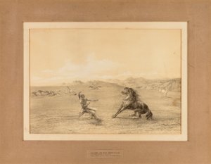 Apanhar o Cavalo Selvagem--no. 4 de George Catlin