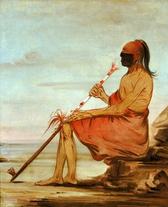 Floresta. de George Catlin