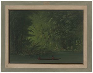 Entrada para uma Lagoa, Costa do Amazonas de George Catlin
