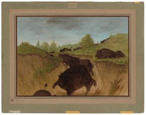Ursos pardos atacando búfalo de George Catlin